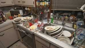 Kako se spoprijeti s ščurki s ljudskimi zdravili